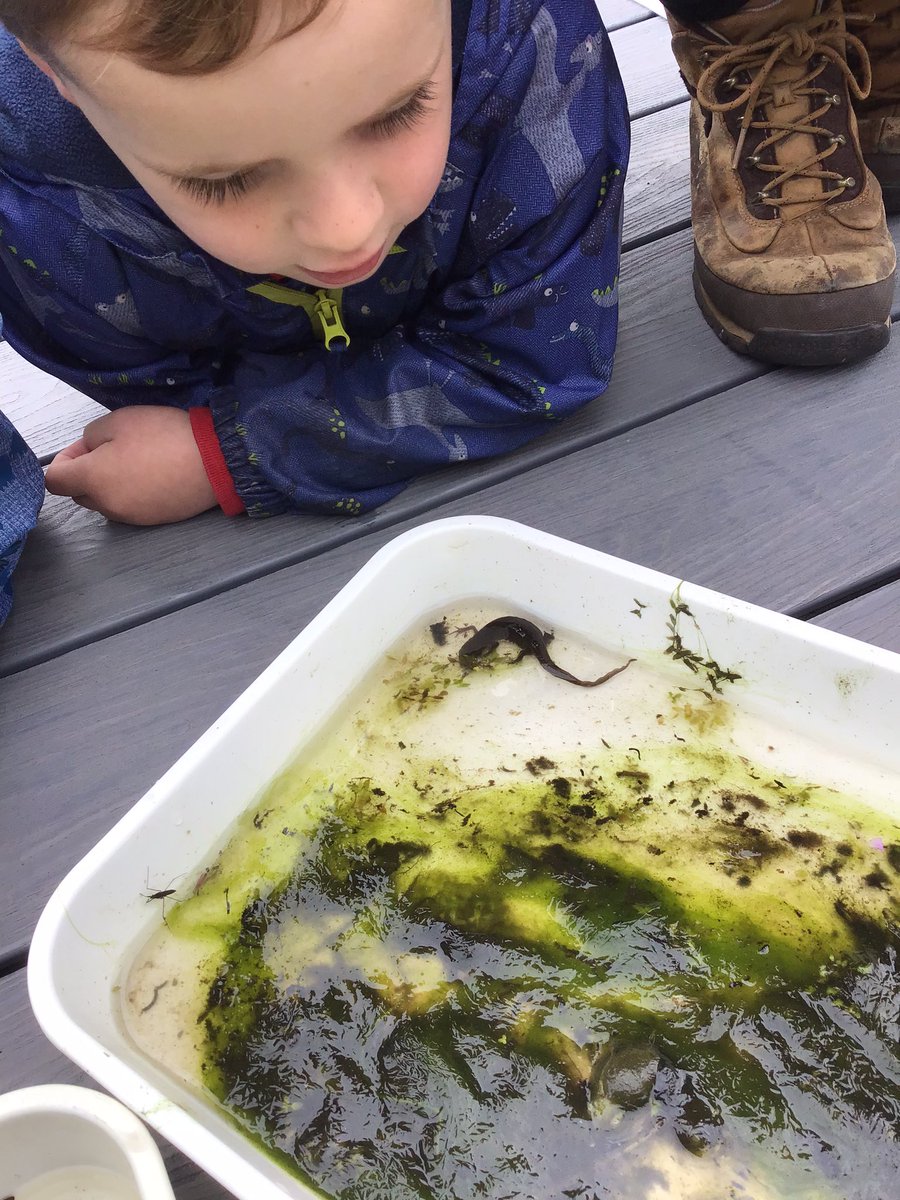 SPFNurseriesEY's tweet photo. Exploring the pond with the Rising threes. #exploration #forestschool @SPFSchools @DameBradburys https://t.co/b7c9f4QZAV