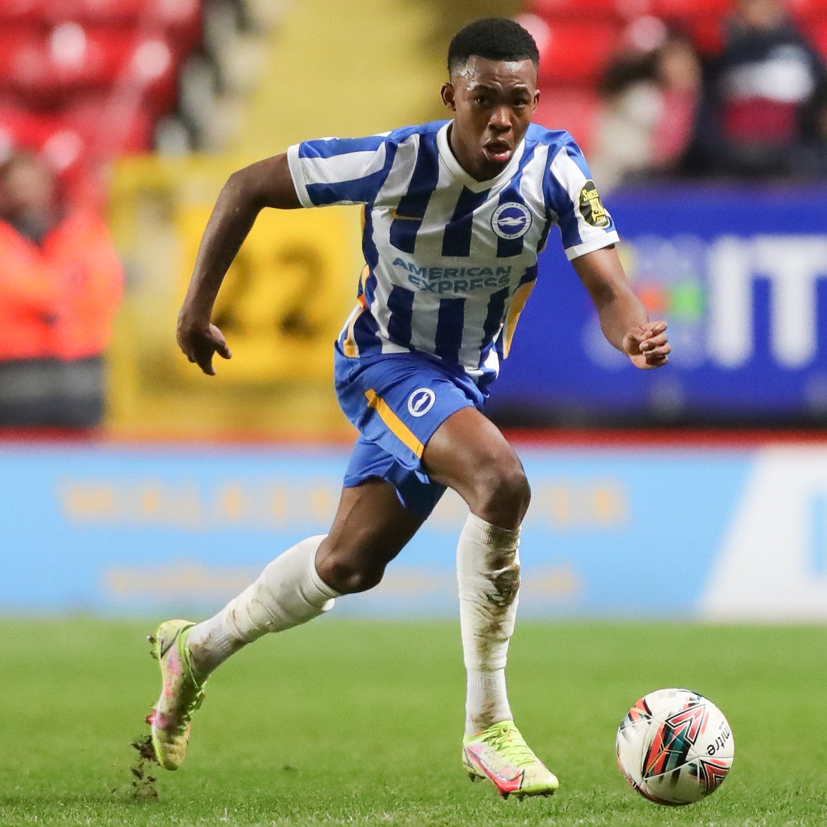 Brighton & Hove Albion tweet media