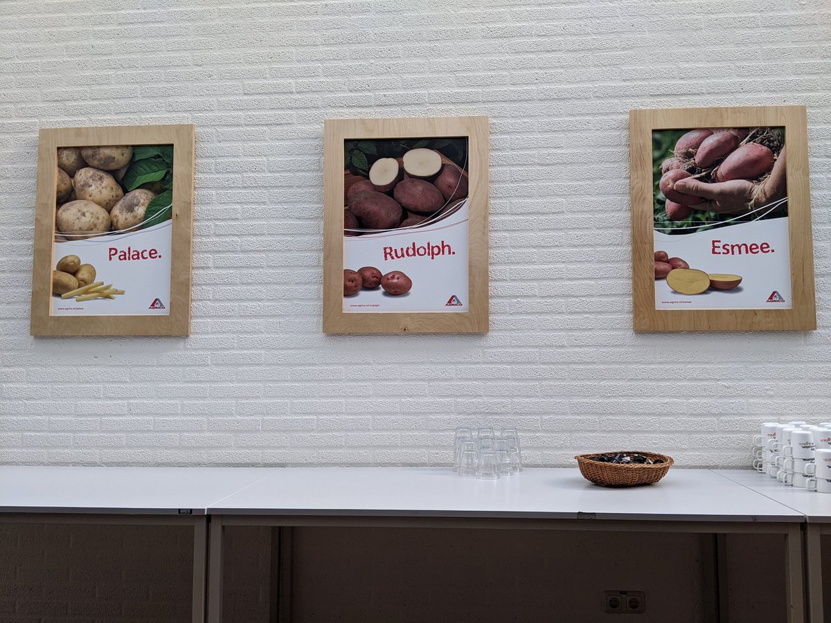 Packed schedule here in the Netherlands so I'm a bit behind - but today we're out on farm in glorious weather. This morning is all about #potatoes <a href="/Agrico_UK/">AgricoUK</a> #northseaneighbourghs #agritech