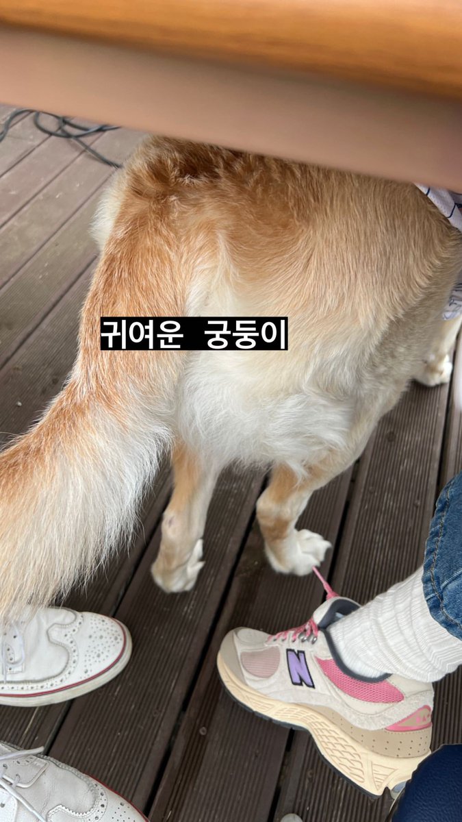220525 #장도연 인스스 🆙
ㄴ귀여운 궁둥이

귀여운 궁둥이 찍는 장도연 귀여워...🫠