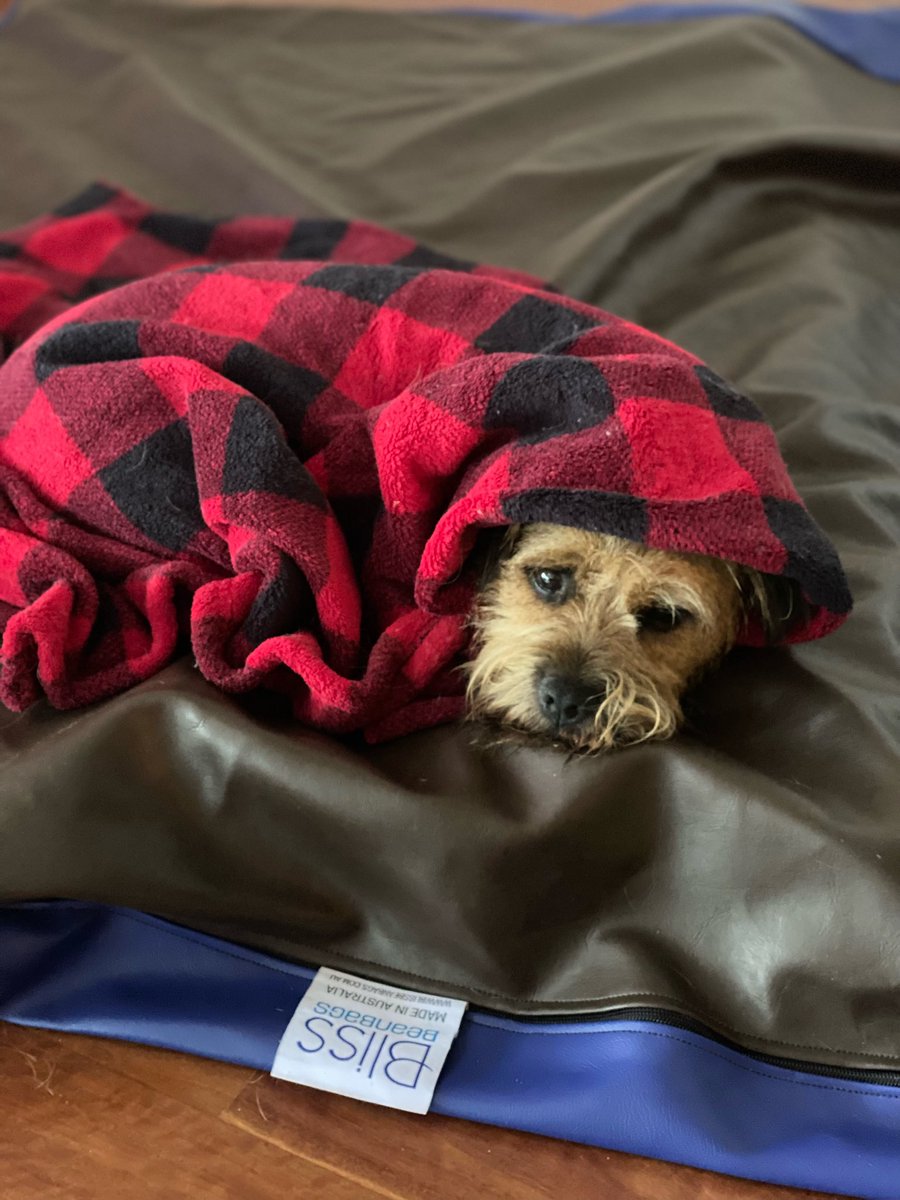 I’ll fix ‘em though ‘cause I’m way cuter… #BTPosse