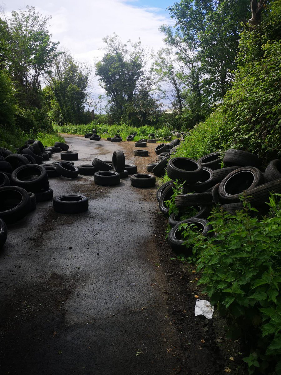 Whitehall_R_AFC's tweet photo. Yet more illegal dumping on the public road leading up to our ground’s entrance but @Fingalcoco refuse to assist 🤷🏻‍♂️

@DarraghButler @CllrDeanMull @joefingalgreen @loreillysf https://t.co/dhhD1ztfwV