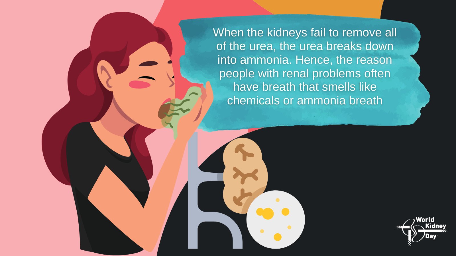 world-kidney-day-on-twitter-chronic-kidney-disease-is-one-possible