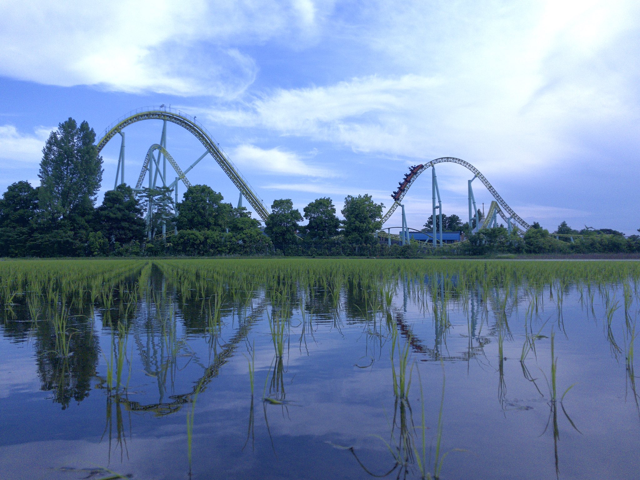 宮代町 Rt Kyuuchoo K 水田に映り込む東武動物公園のカワセミ みやしろまち 宮代町 リフレクション 東武動物公園 カワセミ T Co Fmhnr1f9hv Twitter