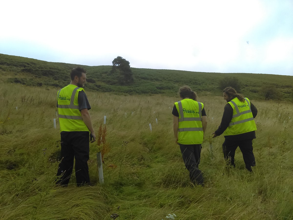 9treesUK's tweet photo. Visiting our sites as part of a team is an uplifting experience, as part of one of our #TeamGreenAwayDays, or simply to check on your trees planted to balance your carbon footprint, you can even help us with Extra Biodiversity features!
#EcoMatting #UK #volunteer #9TreesUK https://t.co/5yQPQB8lRr