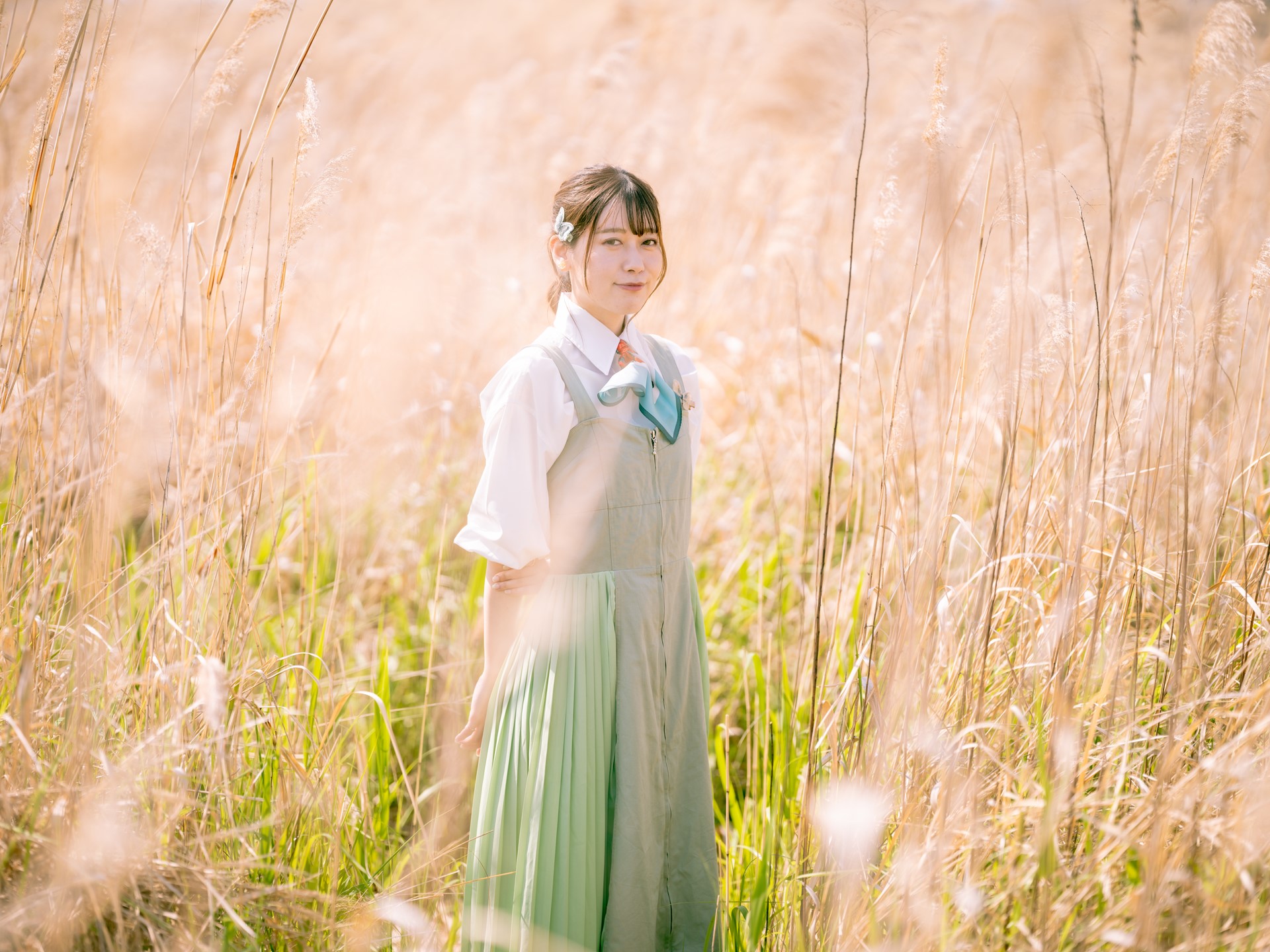 フリープログラマー Twitter Search Twitter