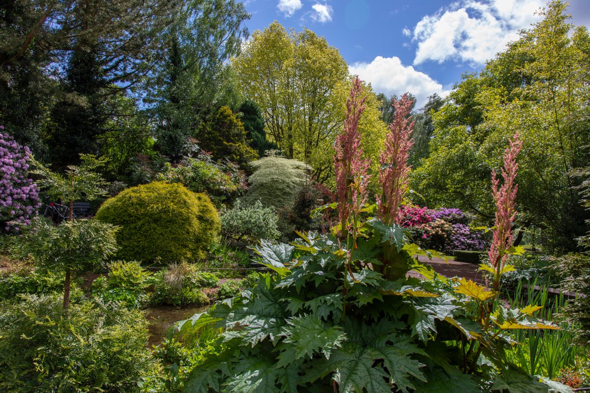 📸 PHOTO OF THE WEEK: The stunning Crichton Rock Garden. 

💡 Did you know our gardens featured on BBC's <a href="/BeechgroveGdn/">Beechgrove</a> back in the summer of 2018.

🌱🌺