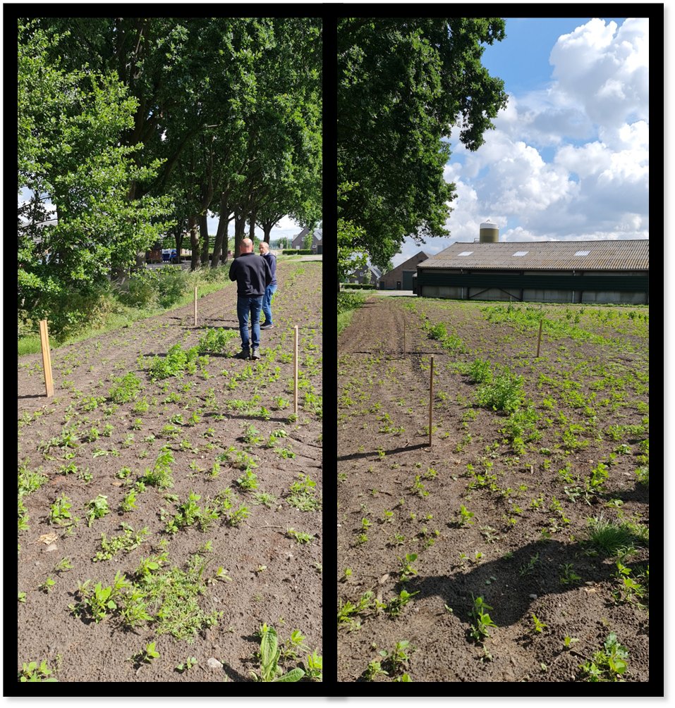 Vanmorgen de #schouw in Gemeente Drimmelen - Made voor een 1MW #batterij. De locatie is uitgezet met paaltjes, tevens is bepaald waar de #trafo komt te staan in samenwerking met <a href="/Powerwatt/">Powerwatt Ltd</a> ATEPS en Terazon Green Energy Projects B.V.