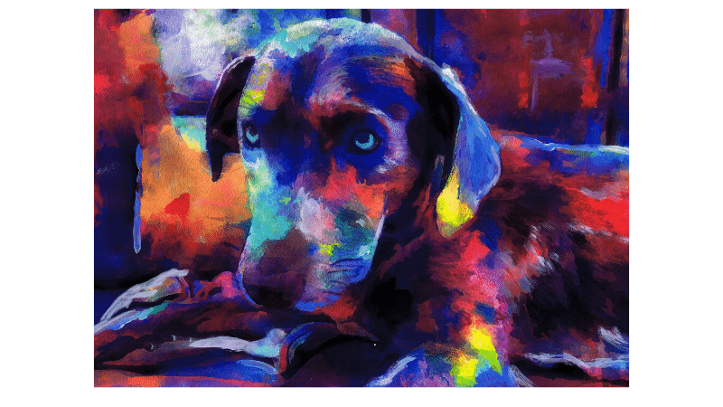 Calling Doggo fans... Can you guess the breed? 

#dogs #dogbreed #art
