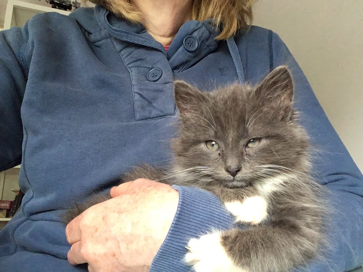 Concentrating hard on procedural variation with fractions. #ncetmregionaltraining #mobiusmathshub