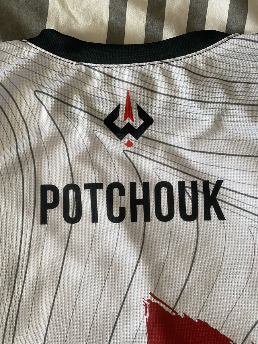 PotchoukM tweet picture