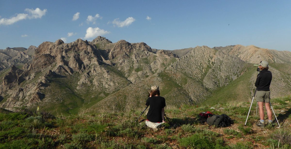 want to join <a href="/RSPBScience/">RSPB Science</a>? We have a NEW JOB to save globally threatened species and support BirdLife partners around the world: buff.ly/3MGArQO