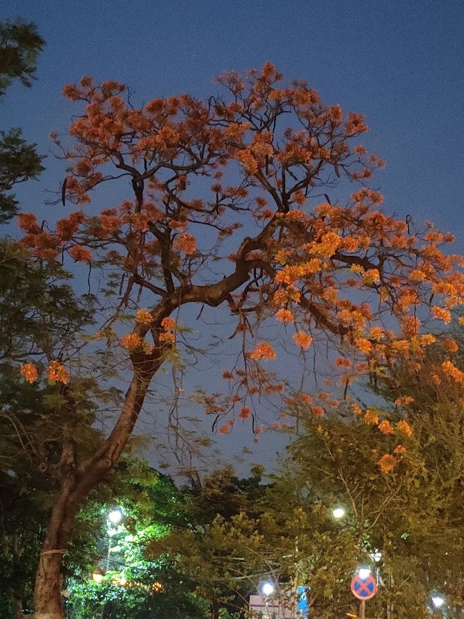 Apaaarnaaa's tweet image. You can&apos;t make everyone happy so better to happy your own soul first 😇😇