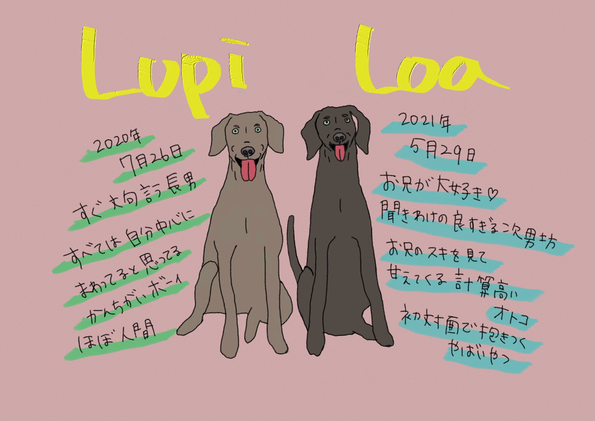 ルピロア ワイマラナー Lupiloa Weim Twitter