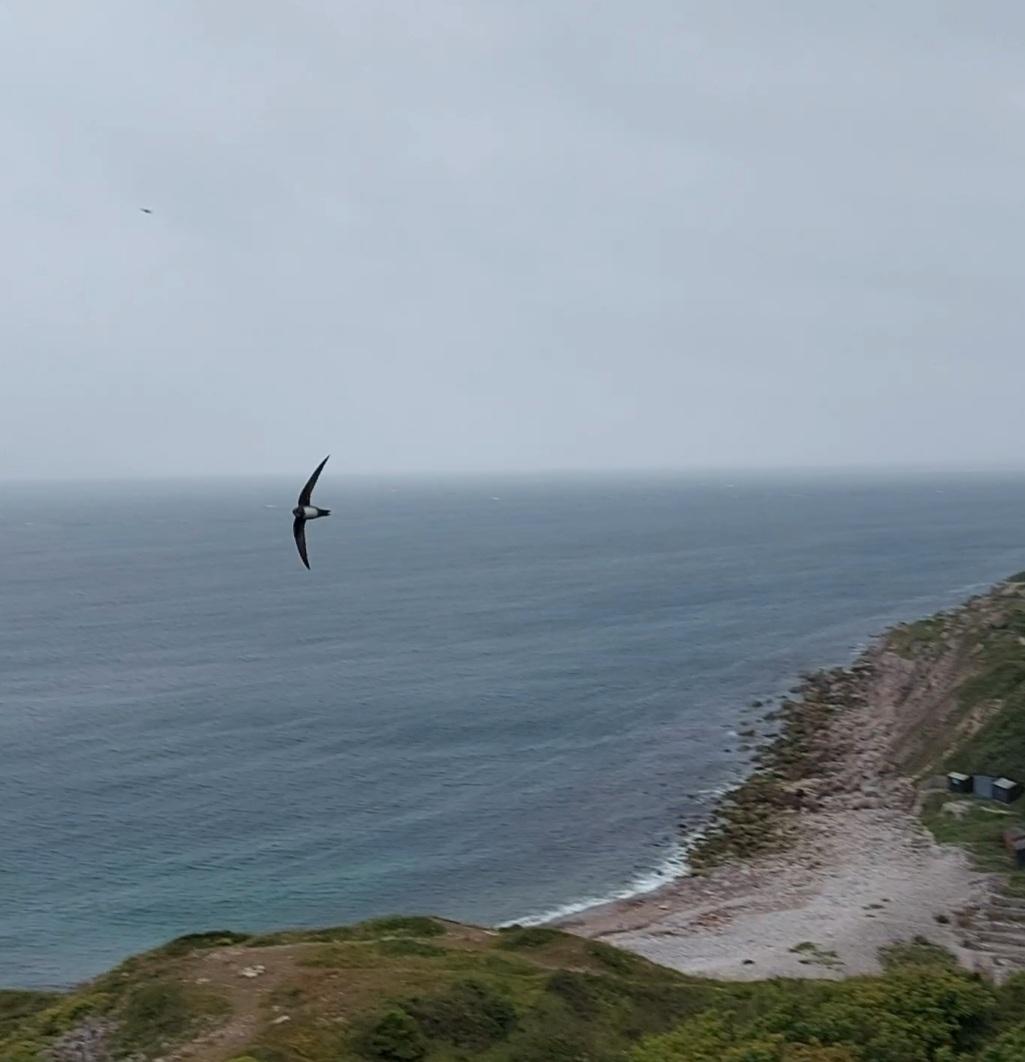 Not bad for a rainy morning on Portland.