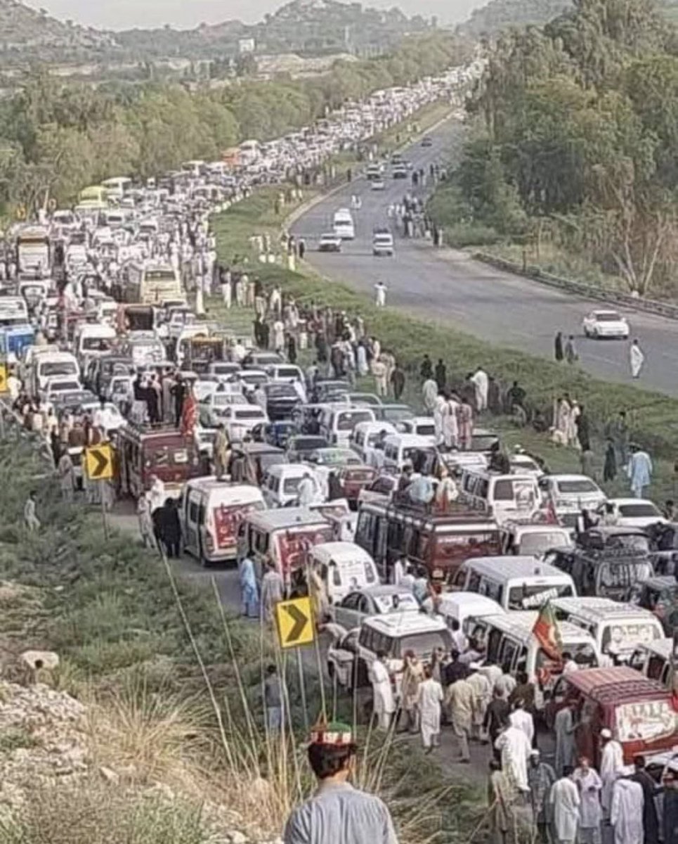 Dr. Samrah Masud tweet media