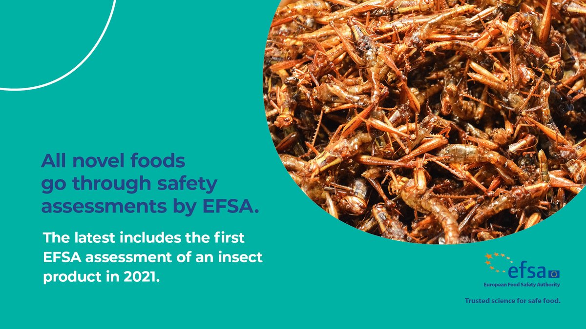 Novel foods also include more unusual ingredients that are traditional in other parts of the world, like insects. 🐛 

Experimenting in the kitchen? That's exciting. 
Checking its safety? That's science! ✊ 

Find out more about novel foods: campaigns.efsa.europa.eu/EUChooseSafeFo…