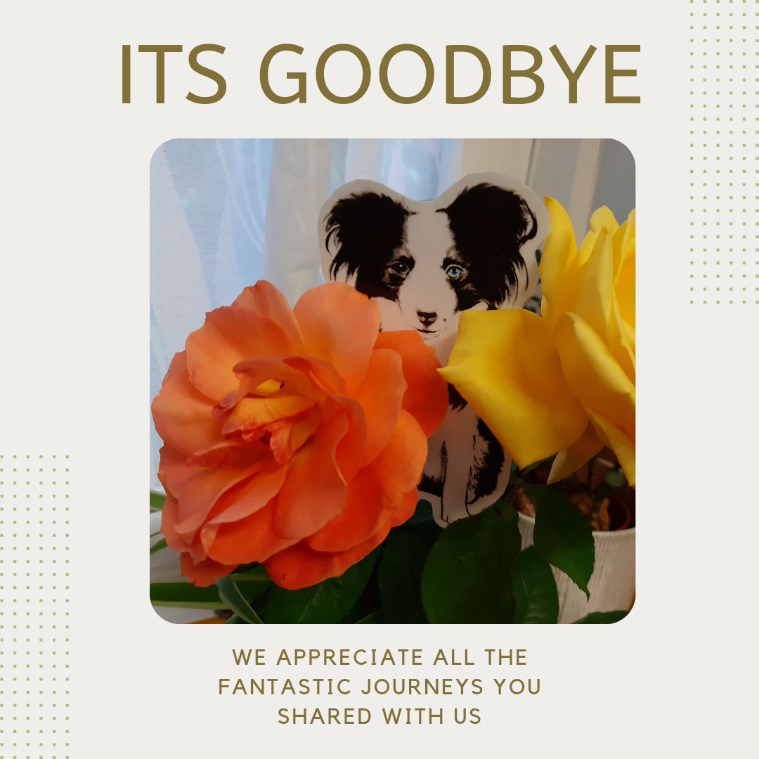 flatbernieadvnt's tweet photo. Dear FBA followers

With saddness we announce that FBA team has moved on to separate endeavours. We are no longer able to manage this account.
Thank you so much for sharing your #Flatbernie adventures, we loved every pic you sent in.

Our twitter and IG will be inactive

Bye ❤️ https://t.co/fV6HZpYvf3