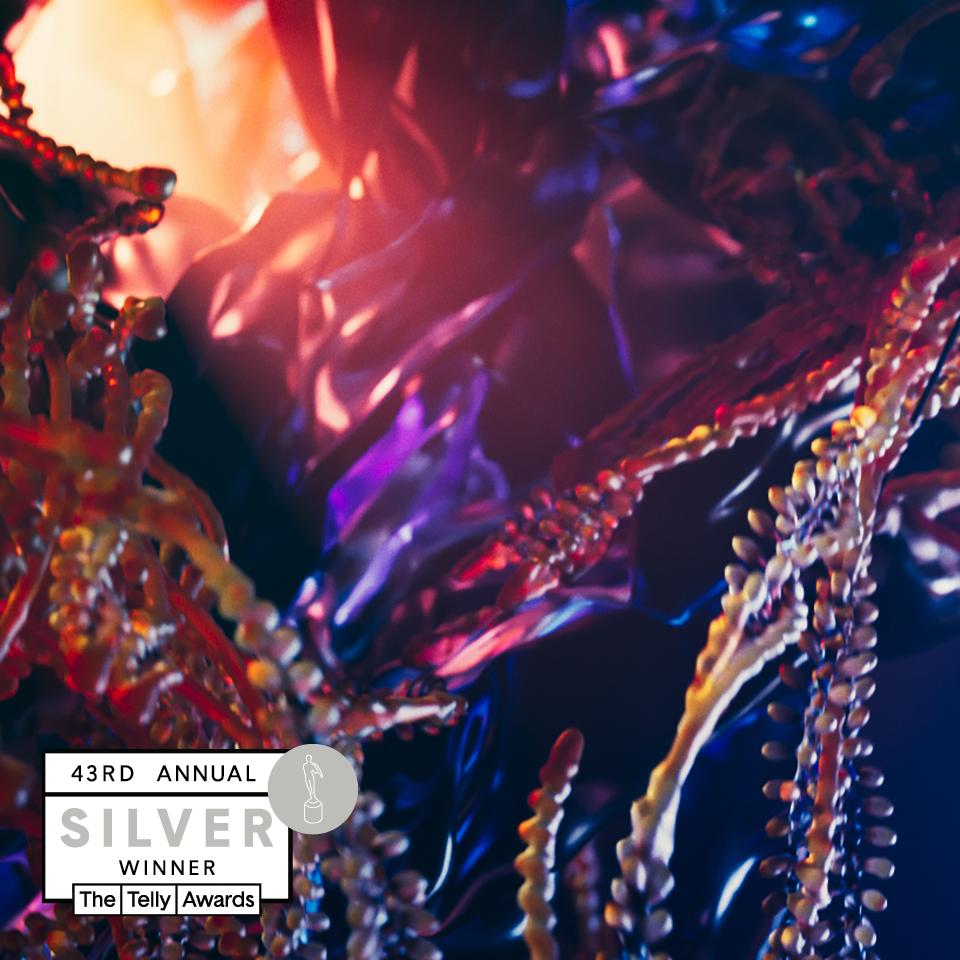 wow_tokyo's tweet photo. We're proud to announce that our original works won 4 Silvers and 1 Bronze at #TellyAward ! thank you for all of your support!

今年第43回を迎えるアメリカのTelly賞で、WOWは昨年に続き、オリジナル作品が銀賞4つ、銅賞1つを受賞しました!
#tellyaward #maxcooper #dimensionstudio https://t.co/wCmImOxGbH