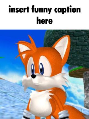 Tails with captions (@tailscaptions) on Twitter photo 