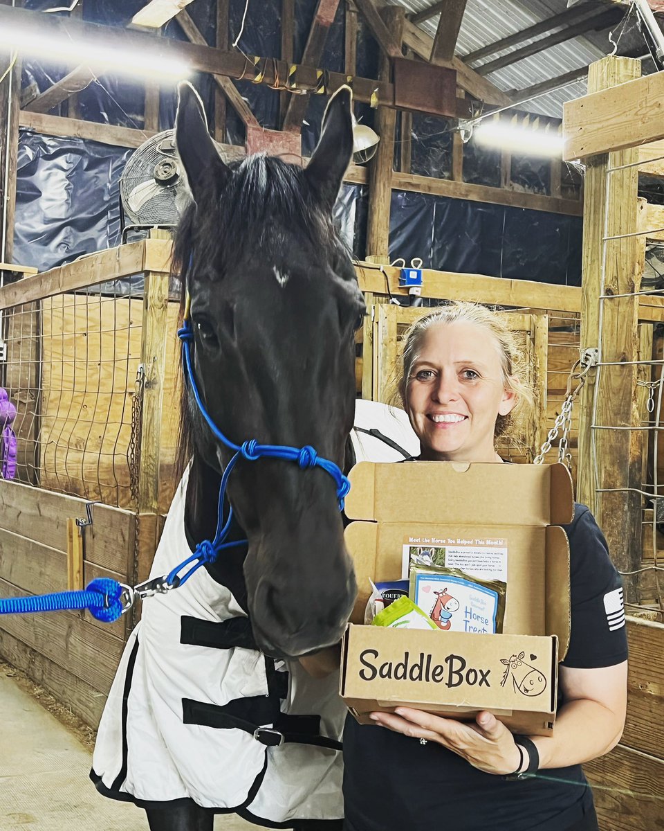 We have started Buzz Man’s @saddleboxhorses again.  Buzz is doing well and has lost the majority of his winter coat. We will post a video later💙He definitely remembered the delicious box with all the snacks!!
##saddlebox #saddleboxhorses #retirement #retirementlife #policehorse