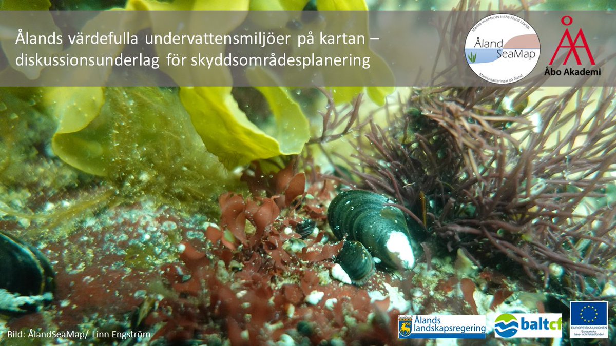 biodiversea_ax's tweet photo. Lämpligaste områdena för marint naturskydd identifierade på #Åland. Resultaten av områdesvalsanalysen med #MARXAN är färdiga! Resultaten bygger på ett digert dataunderlag. #ÅlandSeaMap @aboakademi @regeringen_ax #EMFF #BaltCF #MarineMapping #MarineConservationPlanning https://t.co/K7nrU99GJv