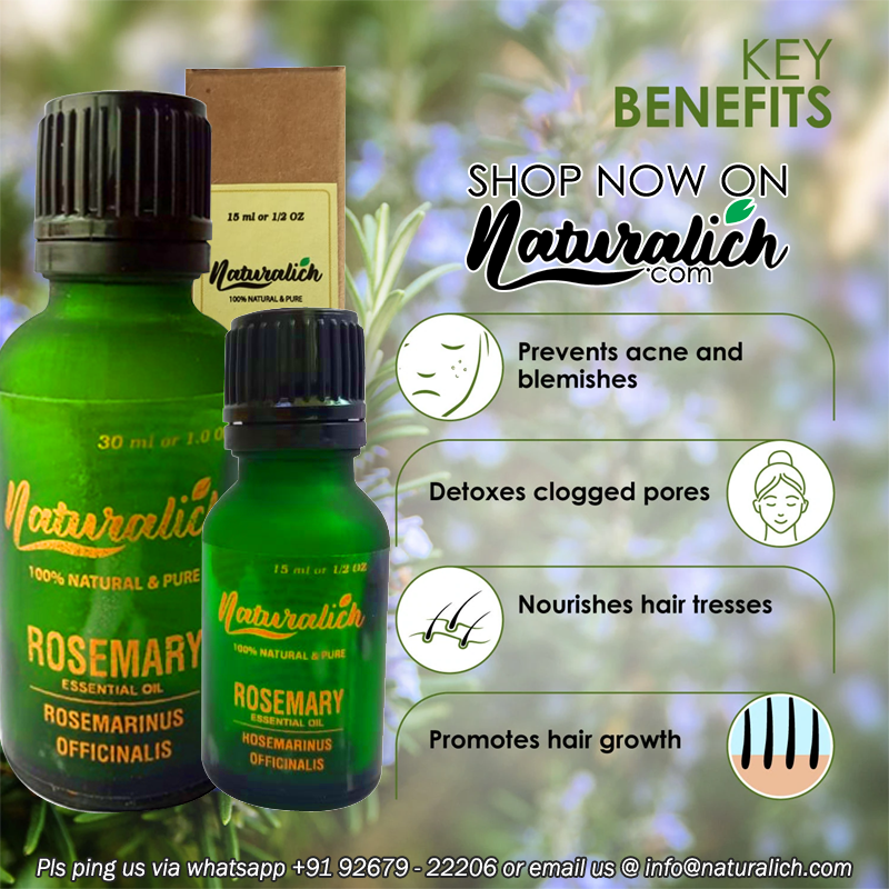 OzoneNaturalCO2's tweet photo. Rosemary essential oil have been used for their characteristic aroma in food cooking or consumed in small amount as herbal tea, while rosemary extracts are routinely employed as natural antioxidant to improve the shelf life of perishable foods.

#RosemaryEssentialOil #Naturalich https://t.co/bcKI4pzYHe