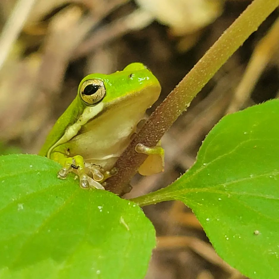 Ben Zino tweet media