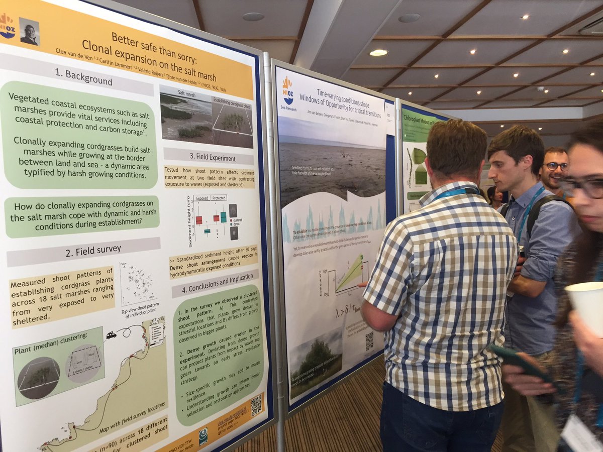 Clea_1094's tweet photo. Two #nioz  posters at #NWOLife2022. Meeting life scientists from different institutes and presenting exciting results from my phd in coastal ecology. Ideas start here! https://t.co/3NHEk0SSoA