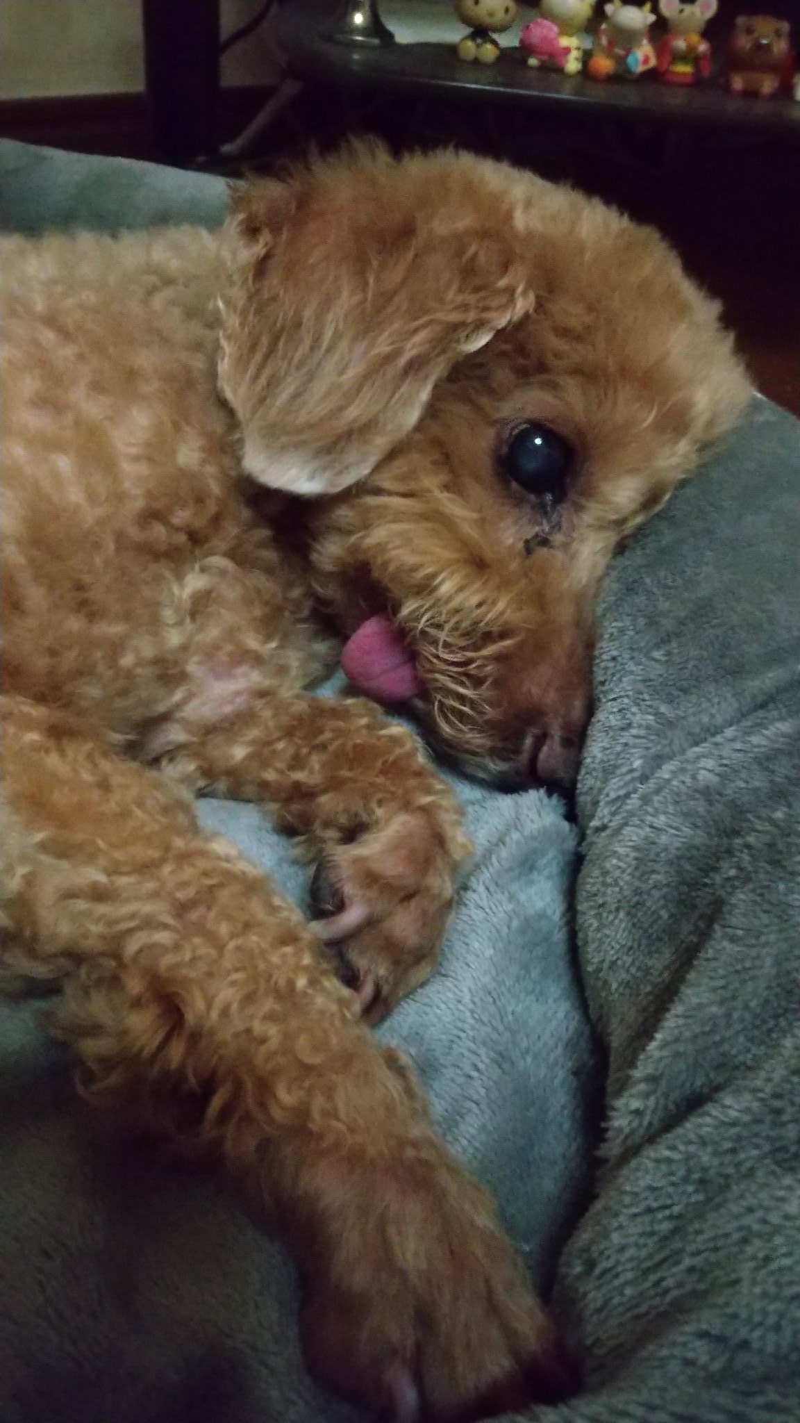 Hidemi A Awwhhhi Twitter