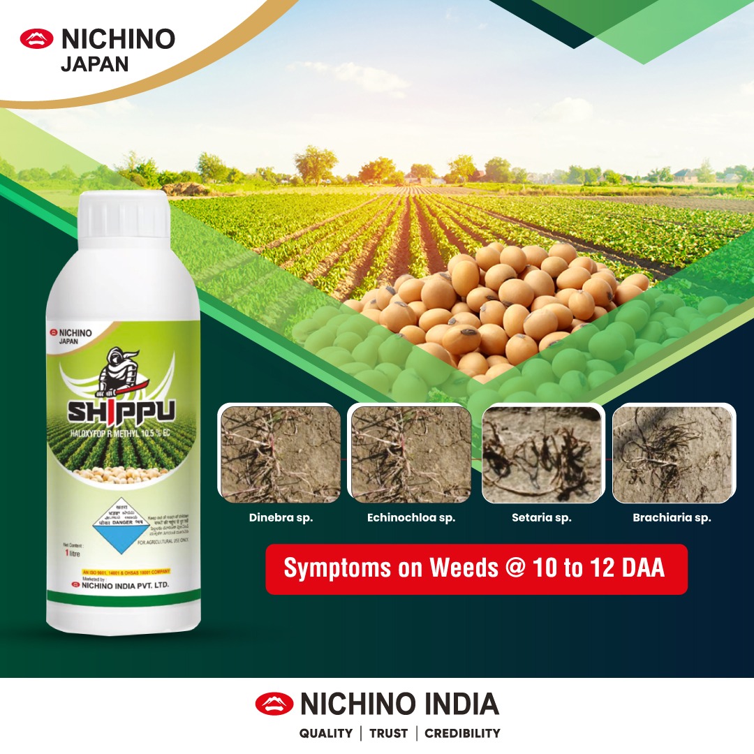 NichinoIndia's tweet photo. Shippu - Perfect grass control with excellent safety.
Symptoms on Weeds @ 10 to 12 DAA
#NichinoIndia #Shippu #Crops #Safety #Grass https://t.co/JqVFaVKYVM