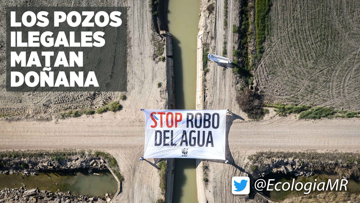 Hasta 1.900 hectáreas de cultivos ilegales de Doñana se beneficiarán de la amnistía en marcha de Juanma Moreno @JuanMa_Moreno, un 30% más de lo previsto

eldiario.es/andalucia/sost… #PrimaveraRomana