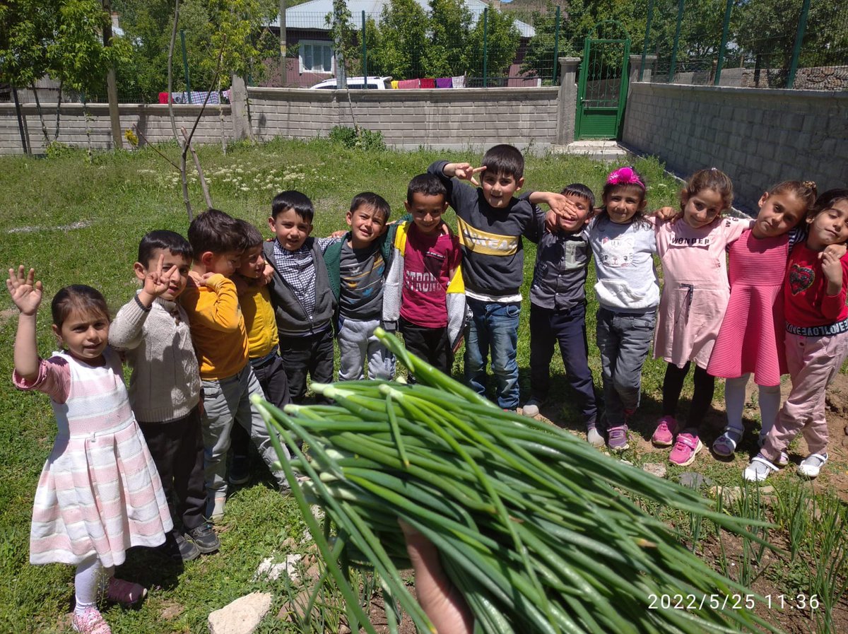AgaceliI's tweet photo. Anasını öğrencilerimizin üretim bilincini geliştirmek için 1.5 ay boyunca yürütülen proje kapsamında ortaya çıkan  ürünlerimiz hasat edildi.@bingolmem
@Mekmevin1205 @e_mine23 @ferd https://t.co/2WbYaqv0FO