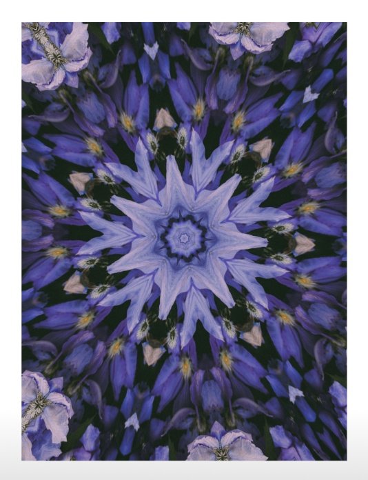 Art should be something that liberates your soul and mind, and help you to find your internal peace 🦚

#NFTCommunity #NFTs