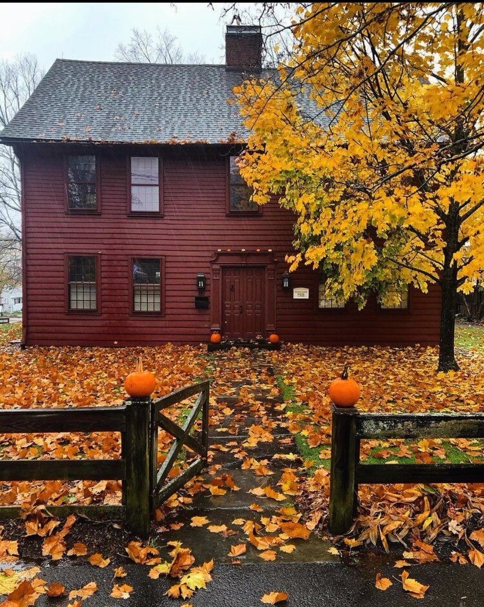 Lee Kirkland tweet media