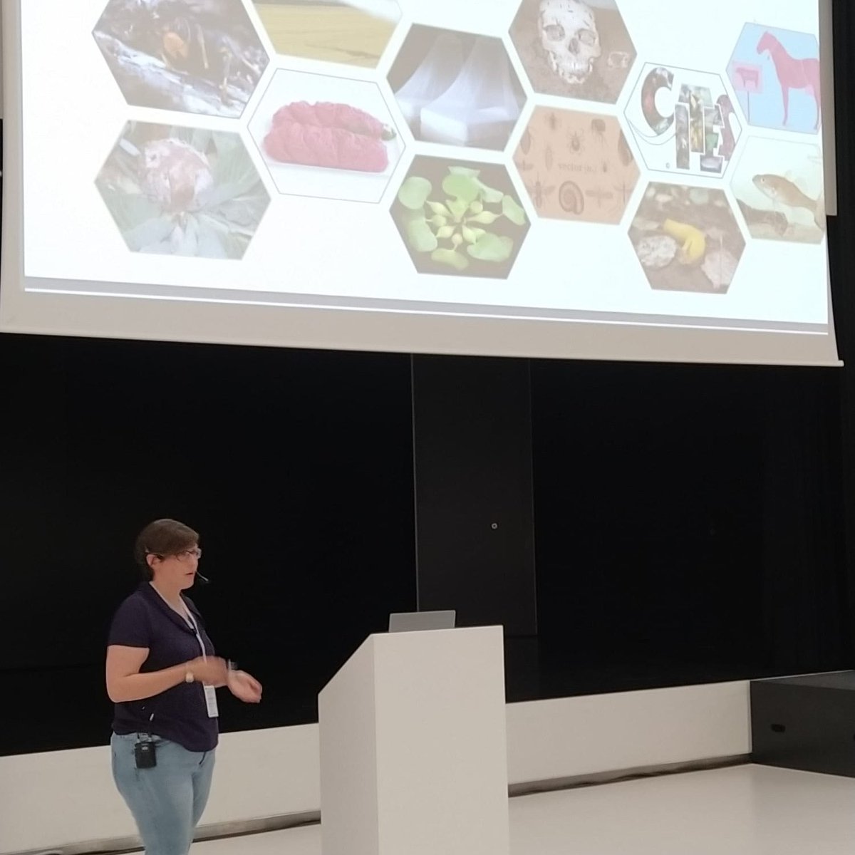 Biodiversity_be's tweet photo. Nathalie Smitz is telling #EBR2022 about BopCo!
#BopCo is developing an expertise forum to facilitate the identification of biological samples of policy concern ⚠️ https://t.co/0v2qDNl8yb