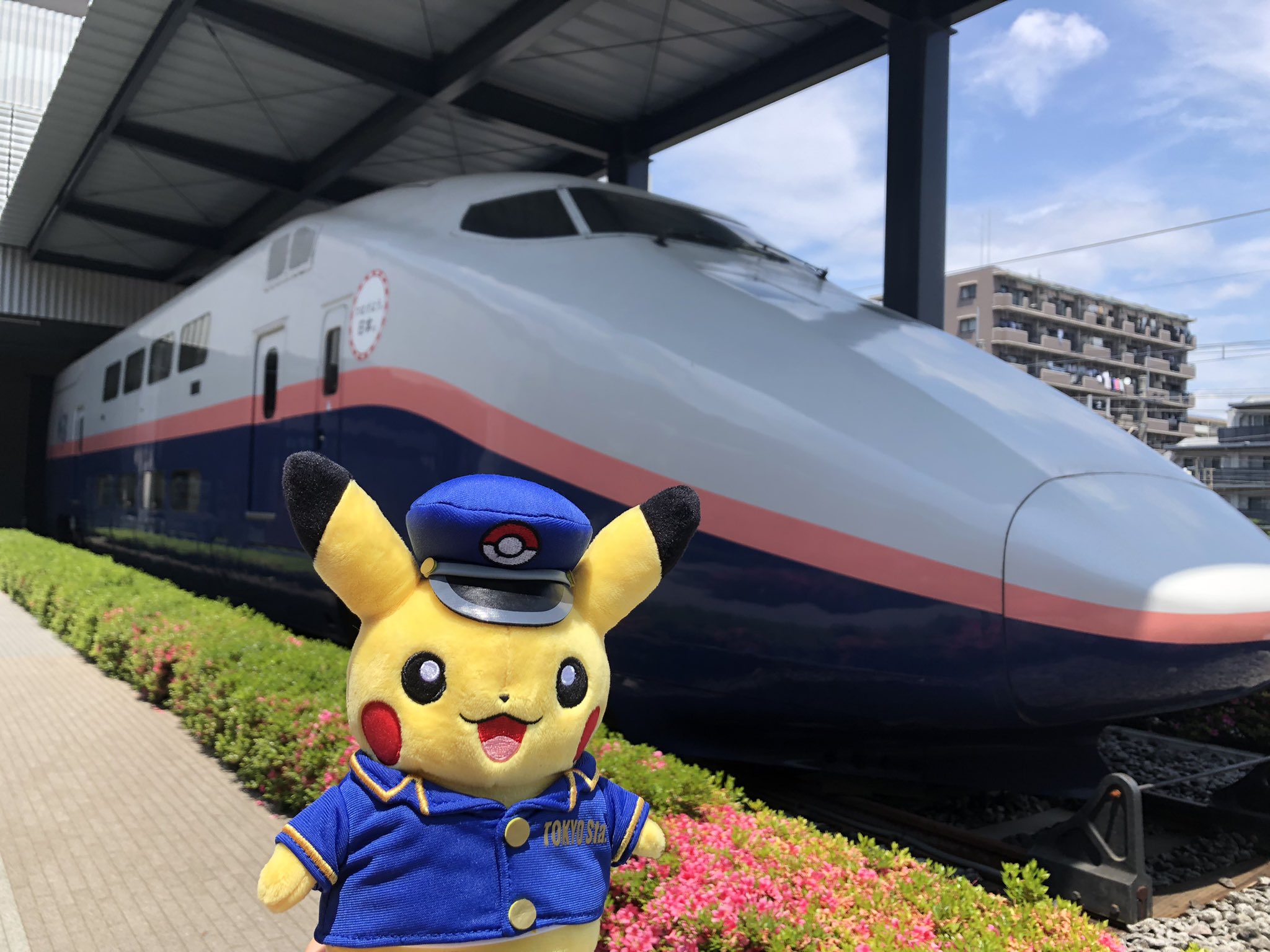 ピカチュウ ピカチュウ | ポケモンカードゲーム公式ホームページ