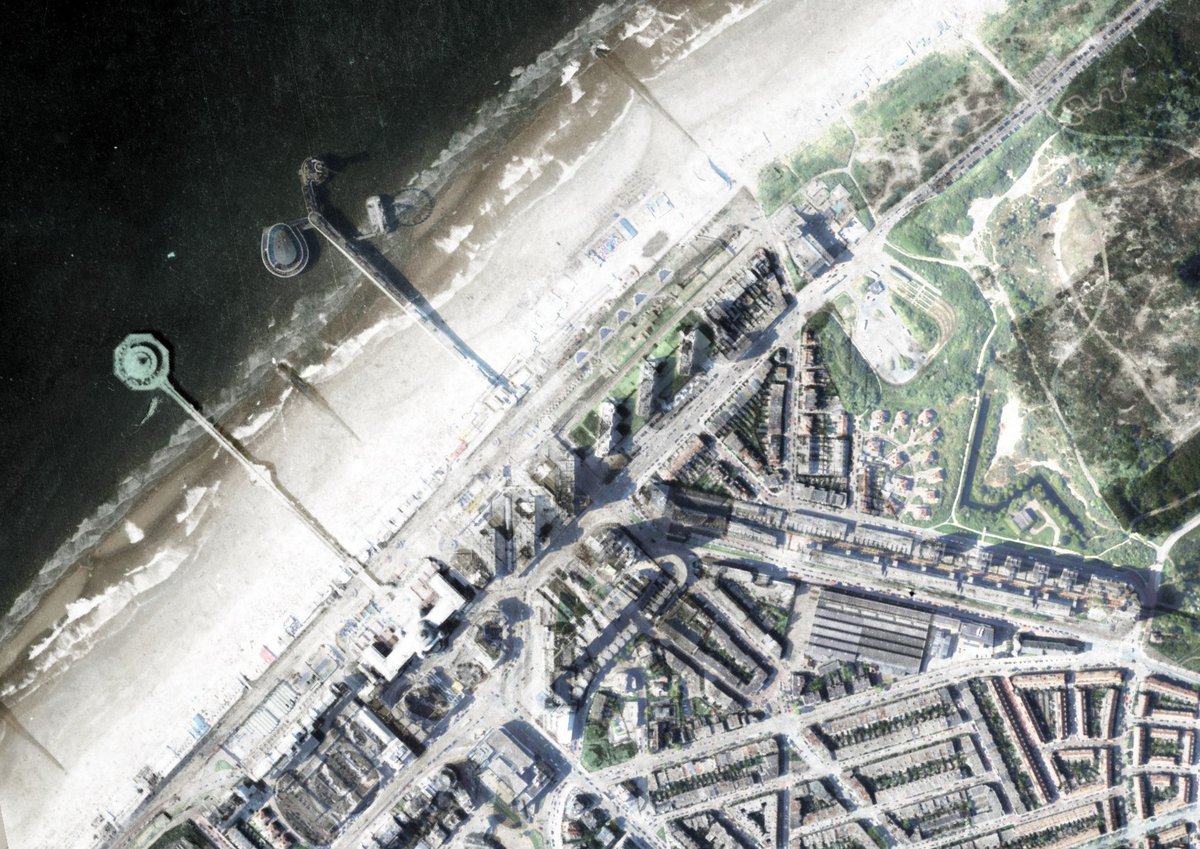 Saricon Safety & Risk Consultancy tweet media