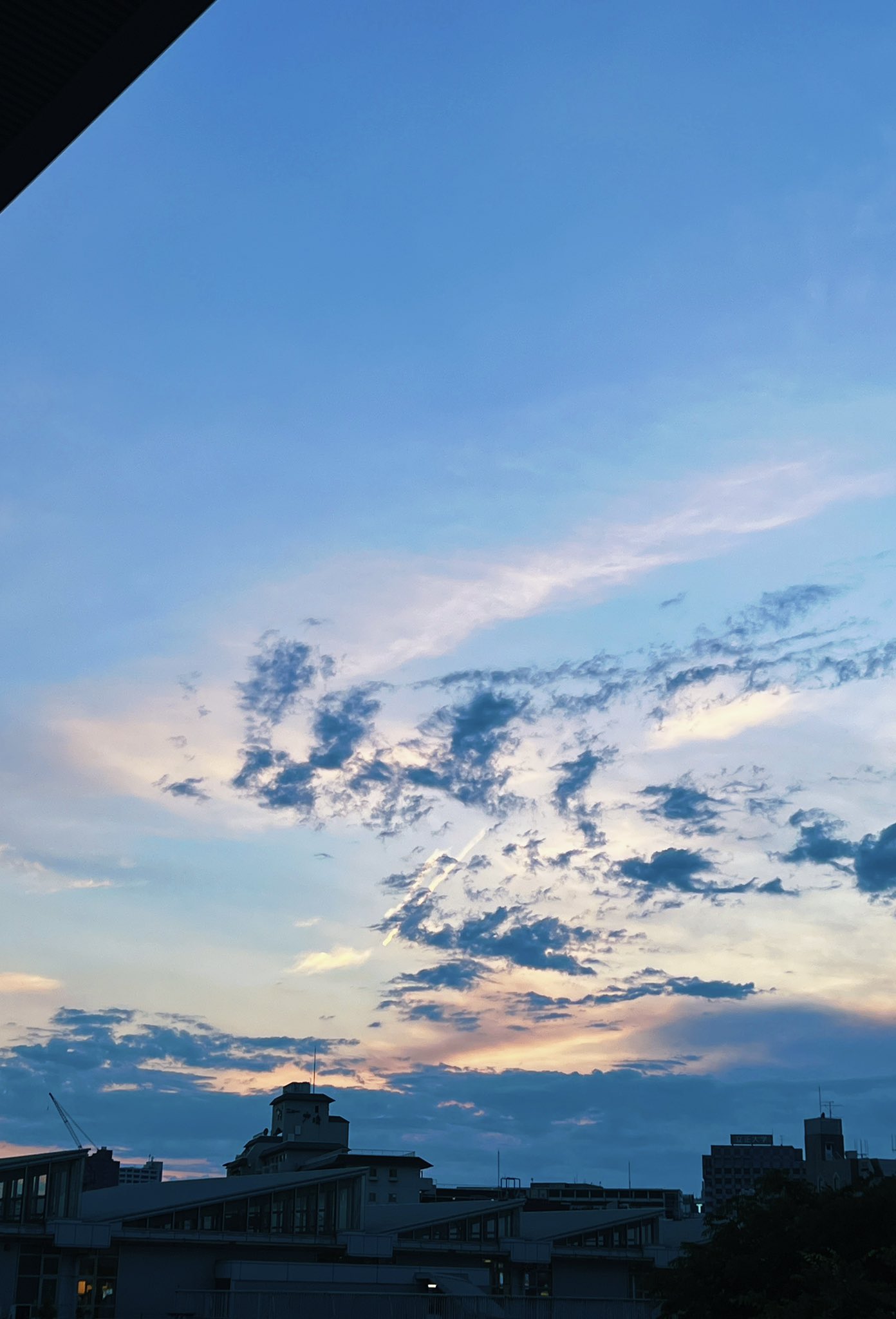 تويتر のがちゃんねる على تويتر 今日の空 君の名は 感あった T Co 6a9u958rh3 تويتر のがちゃんねる على تويتر 今日の空 君の名は 感あった T Co 6a9u958rh3