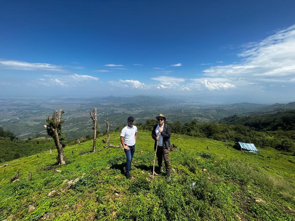 Churachandpur Forest tweet media