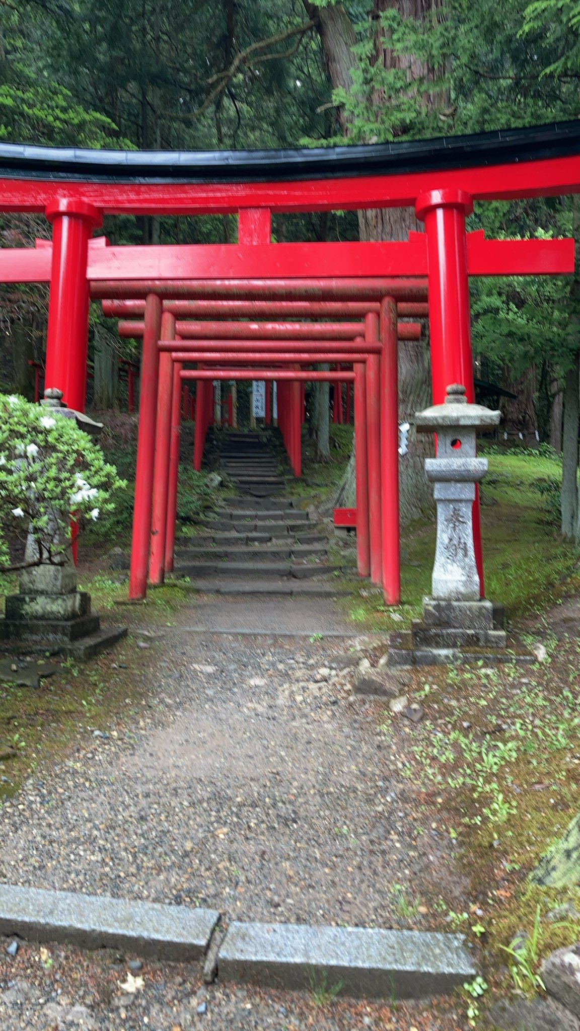 柳澤萌愛 今晩は 5月22日に 岩手県にある志和稲荷神社と 中尊寺に行って来ました 志和稲荷神社に行ってみて 気づいたことがあるんですよ それは 稲荷 とつく神社は 鳥居 がいっぱいある という事なんですよ 御朱印もいっぱい集まって