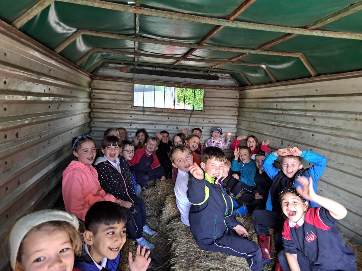 ArdRi_CNS's tweet photo. Rang Rachel on school tour down on @causeyfarm 🐐 🚜 https://t.co/F8Dupa97v7