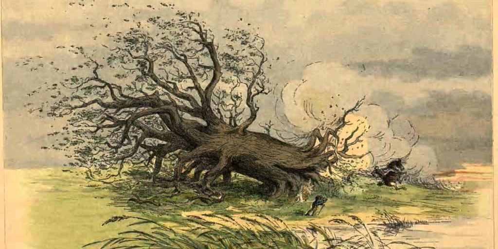 Thereza Madoko tweet media