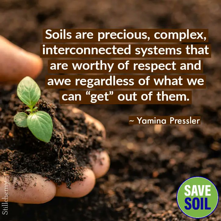 tulikaverma1's tweet photo. #SaveSoil #ConsciousPlanet @cpsavesoil https://t.co/rwnVwI06Ok
