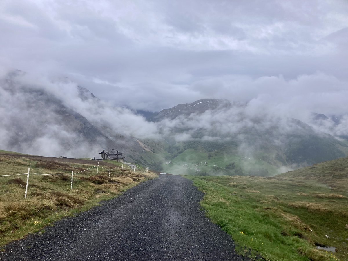 Anton Sintsov tweet media