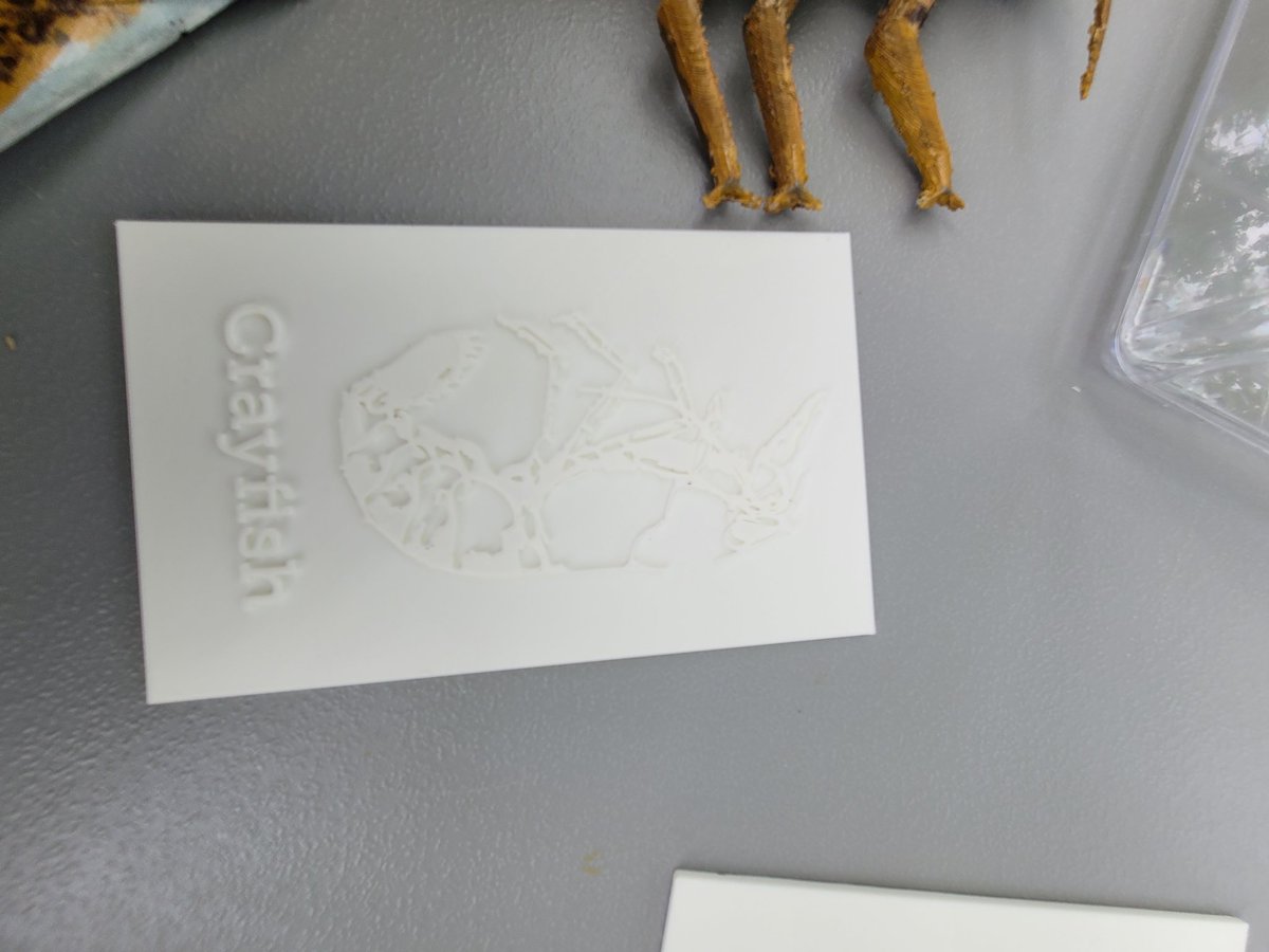 Kelley Aitken (@teachsci4all) on Twitter photo Making MWEE accessible for all students. Tactile marcoinvertebrates for students with visual disabilities <a href="/juliette_myers/">Juliette Myers</a> <a href="/AndrewsShellyVA/">Shelly Andrews</a> <a href="/jim_angelo_1969/">Jim Angelo</a> <a href="/DaveSovine/">Dr. David Sovine</a> <a href="/StroudCenter/">Stroud Water Research Center</a> Making MWEE accessible for all students. Tactile marcoinvertebrates for students with visual disabilities <a href="/juliette_myers/">Juliette Myers</a> <a href="/AndrewsShellyVA/">Shelly Andrews</a> <a href="/jim_angelo_1969/">Jim Angelo</a> <a href="/DaveSovine/">Dr. David Sovine</a> <a href="/StroudCenter/">Stroud Water Research Center</a>