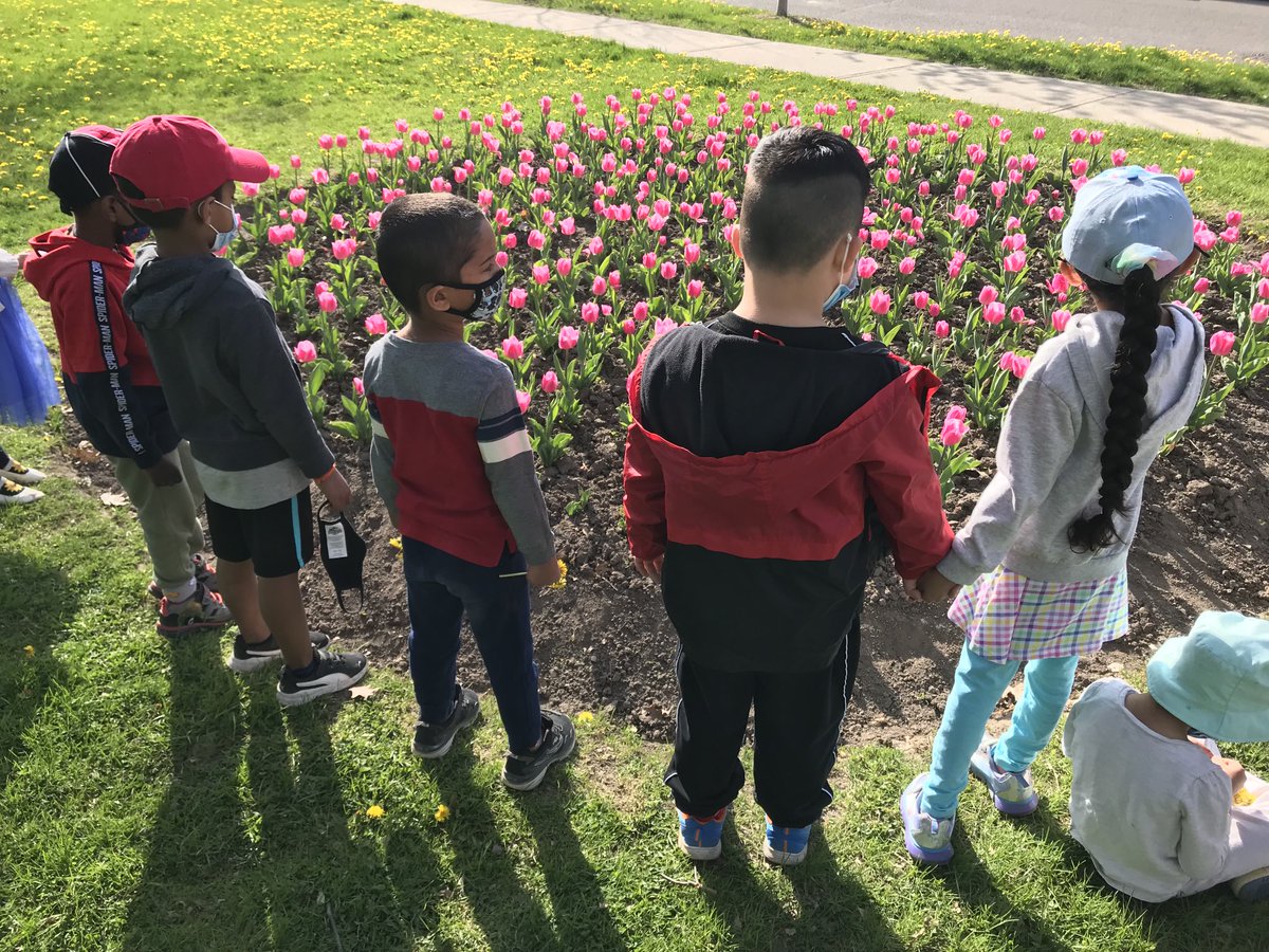 Joyce Public School (@tdsb_joyceps) on Twitter photo A beautiful day at Joyce PS!  <a href="/tdsb/">Toronto District School Board</a> β¦<a href="/shelleylaskin/">Shelley Laskin π¨π¦</a>β© β¦<a href="/denisehLN04/">StudentAchievementandProgram</a>β© β¦<a href="/EcoSchoolsTDSB/">TDSB EcoSchools</a>β© A beautiful day at Joyce PS!  <a href="/tdsb/">Toronto District School Board</a> β¦<a href="/shelleylaskin/">Shelley Laskin π¨π¦</a>β© β¦<a href="/denisehLN04/">StudentAchievementandProgram</a>β© β¦<a href="/EcoSchoolsTDSB/">TDSB EcoSchools</a>β©