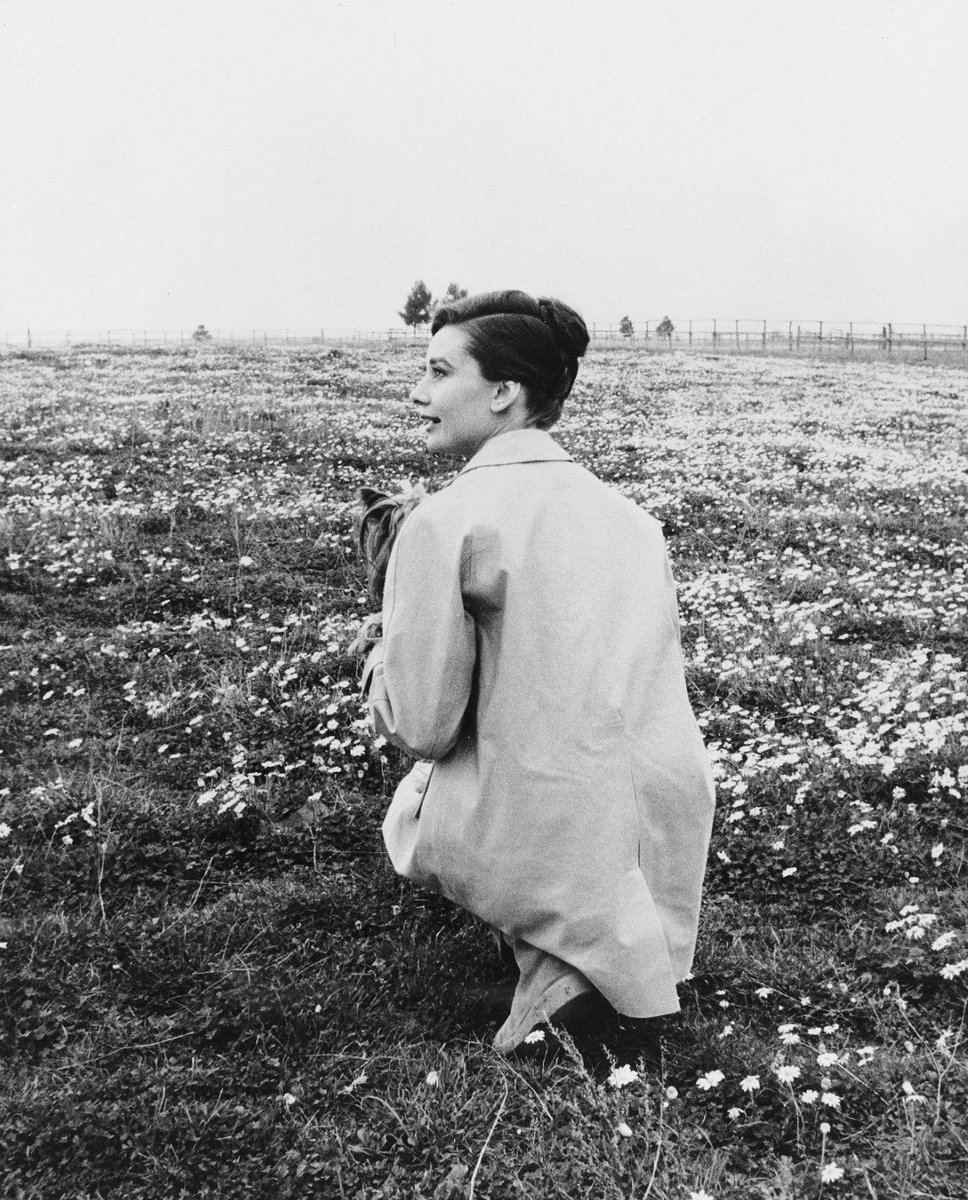 audrey hepburn and mr. famous photographed by pierluigi praturlon in italy, 1960