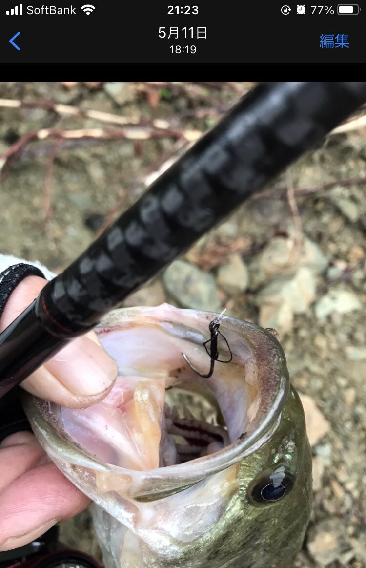 تويتر バサー على تويتر スナッグレスネコリグのフックのサイズを上げて それなりっぽいお魚の魚信からのフッキング時にすっぽ抜けやバラしが少ない バス釣り ネコリグ フック T Co Nbpkwikct3 تويتر バサー على تويتر スナッグレスネコリグのフックのサイズを上げて それなりっぽいお魚の魚信からのフッキング時にすっぽ抜けやバラしが少ない バス釣り ネコリグ フック T Co Nbpkwikct3