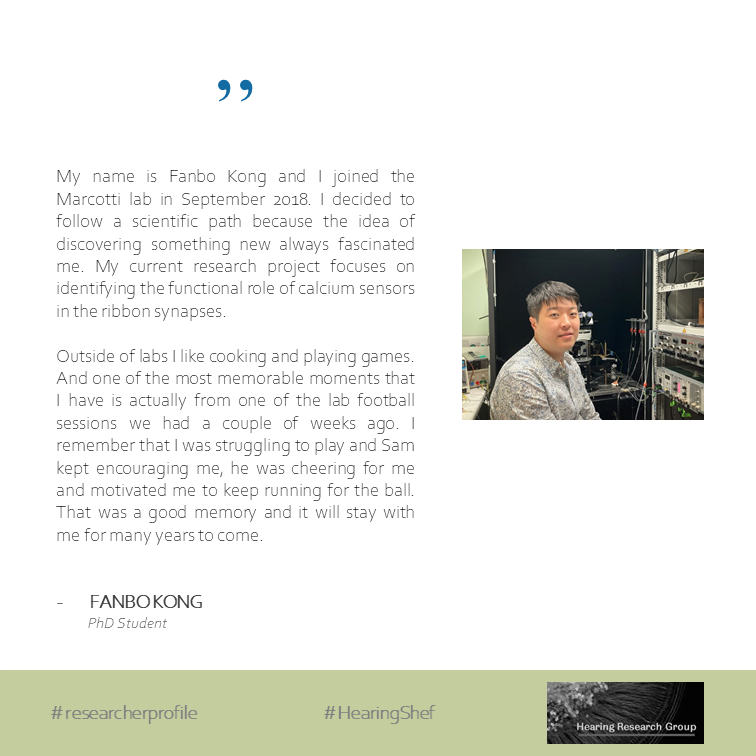 HearingShef's tweet photo. And were back this week with #MeetHearingShef!
This week is Fanbo, a final year PhD student in the Marcotti lab π§ͺ
#researcherprofile
#HearingShef https://t.co/hcylQZ7gaC